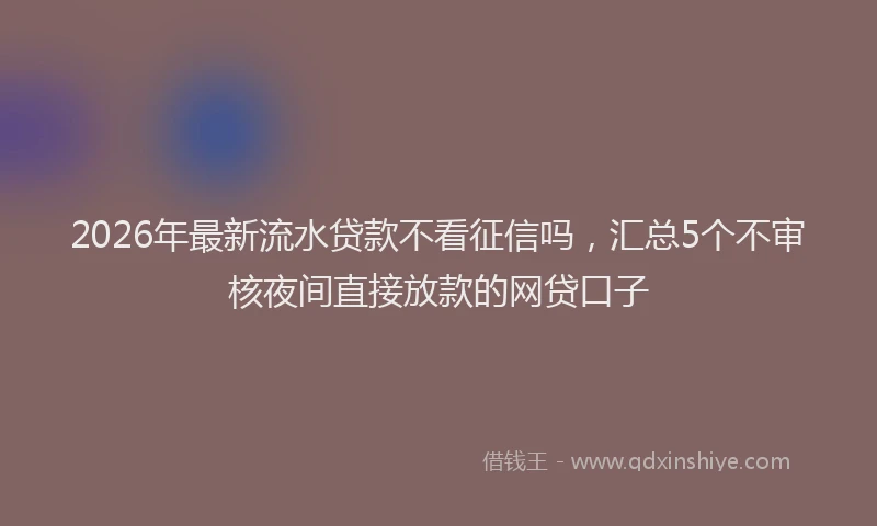 2026年最新流水贷款不看征信吗，汇总5个不审核夜间直接放款的网贷口子