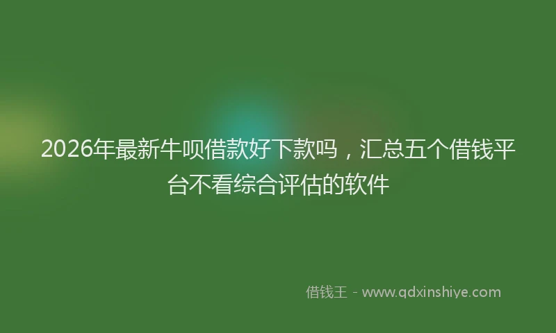 2026年最新牛呗借款好下款吗，汇总五个借钱平台不看综合评估的软件