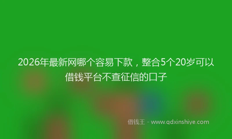 2026年最新网哪个容易下款，整合5个20岁可以借钱平台不查征信的口子