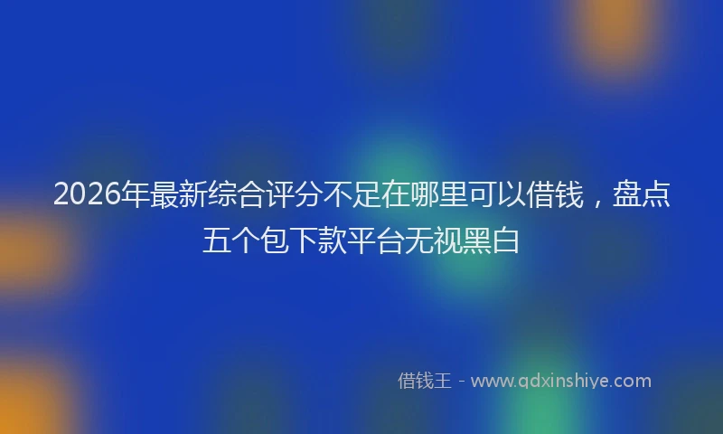 2026年最新综合评分不足在哪里可以借钱，盘点五个包下款平台无视黑白