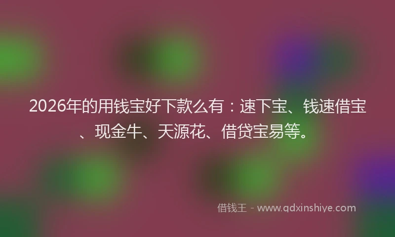 2026年的用钱宝好下款么有：速下宝、钱速借宝、现金牛、天源花、借贷宝易等。