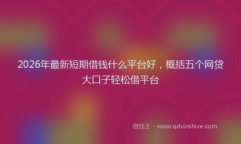 2026年最新短期借钱什么平台好，概括五个网贷大口子轻松借平台