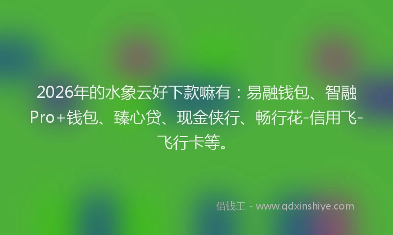 2026年的水象云好下款嘛有：易融钱包、智融Pro+钱包、臻心贷、现金侠行、畅行花-信用飞-飞行卡等。