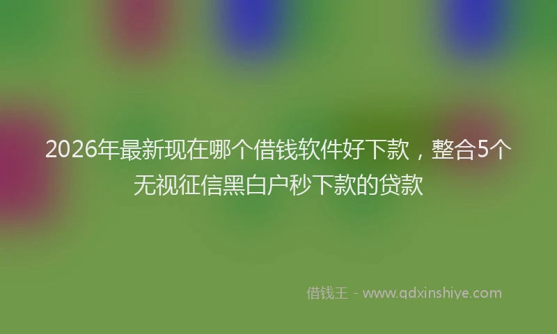 2026年最新现在哪个借钱软件好下款，整合5个无视征信黑白户秒下款的贷款