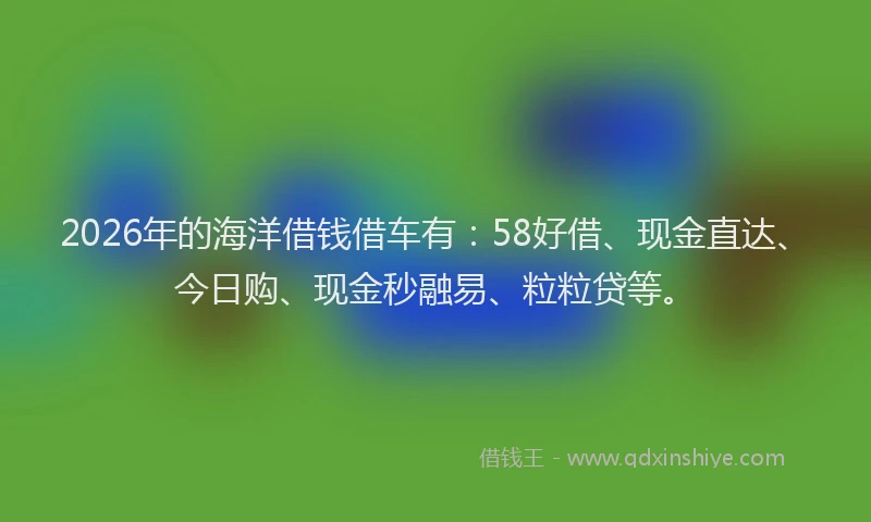 2026年的海洋借钱借车有：58好借、现金直达、今日购、现金秒融易、粒粒贷等。