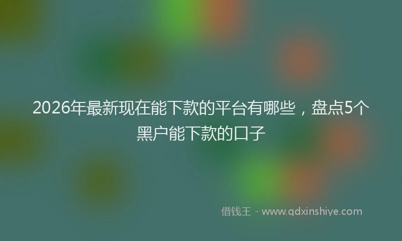 2026年最新现在能下款的平台有哪些，盘点5个黑户能下款的口子