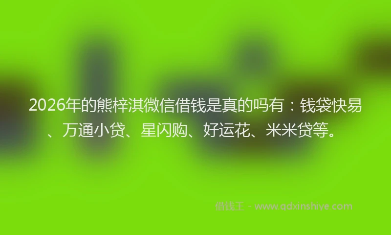2026年的熊梓淇微信借钱是真的吗有：钱袋快易、万通小贷、星闪购、好运花、米米贷等。
