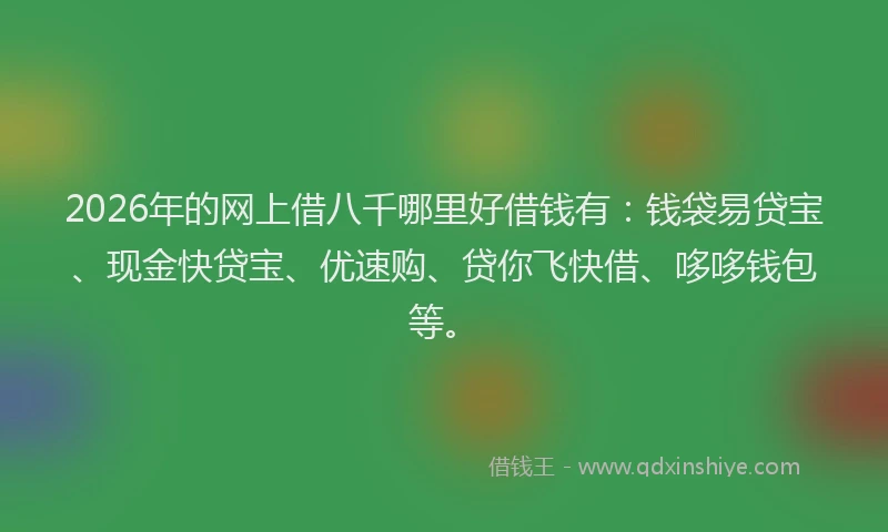 2026年的网上借八千哪里好借钱有：钱袋易贷宝、现金快贷宝、优速购、贷你飞快借、哆哆钱包等。