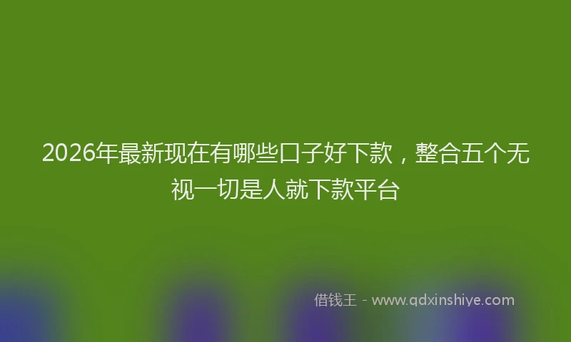 2026年最新现在有哪些口子好下款，整合五个无视一切是人就下款平台