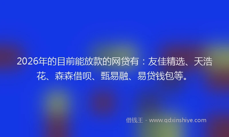 2026年的目前能放款的网贷有：友佳精选、天浩花、森森借呗、甄易融、易贷钱包等。