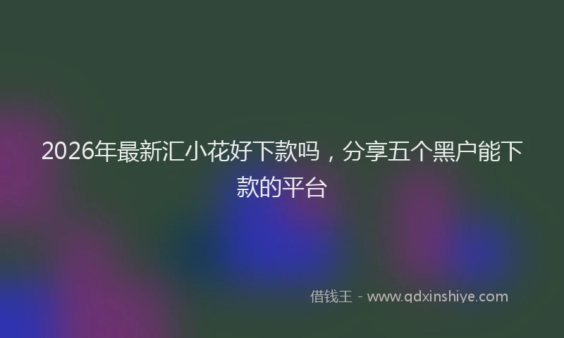 2026年最新汇小花好下款吗，分享五个黑户能下款的平台