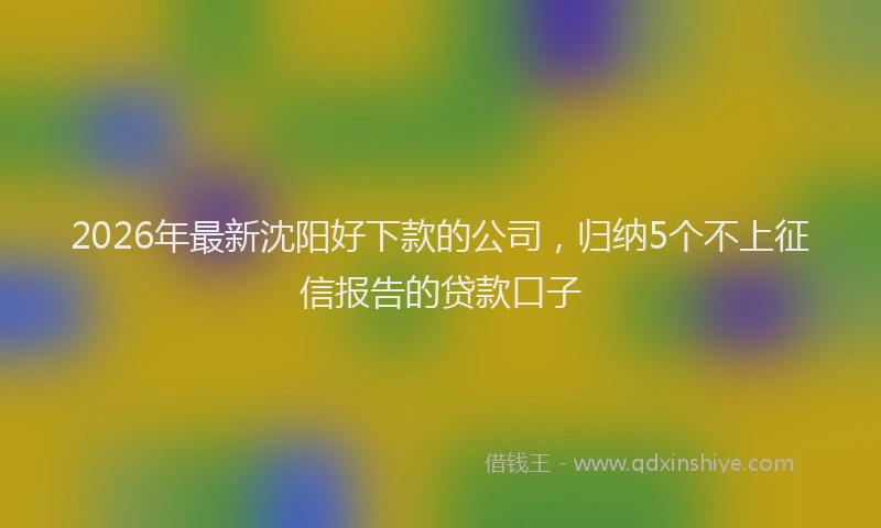 2026年最新沈阳好下款的公司，归纳5个不上征信报告的贷款口子