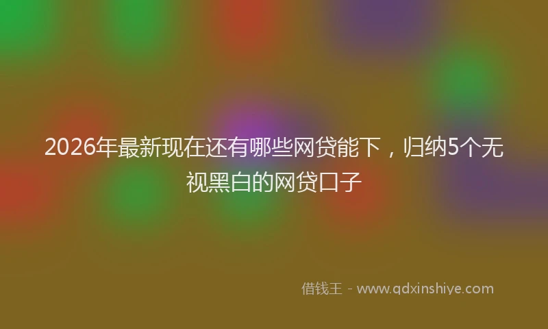 2026年最新现在还有哪些网贷能下，归纳5个无视黑白的网贷口子