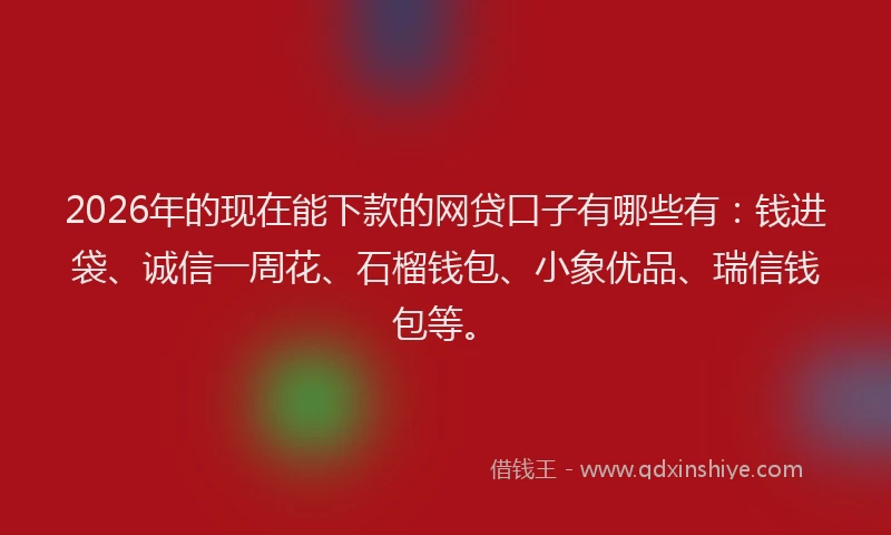 2026年的现在能下款的网贷口子有哪些有：钱进袋、诚信一周花、石榴钱包、小象优品、瑞信钱包等。