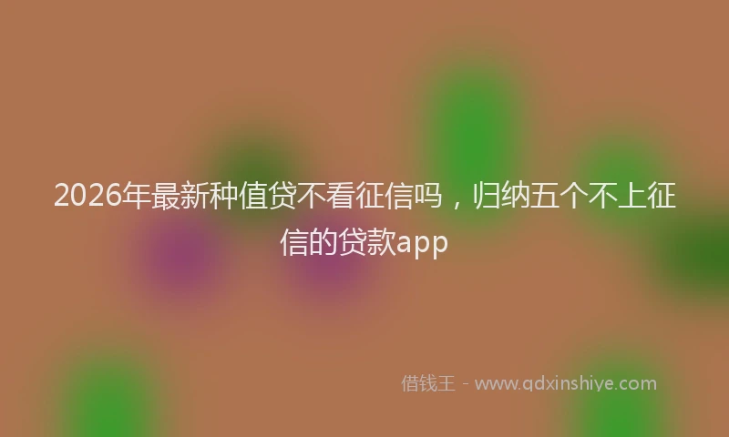 2026年最新种值贷不看征信吗，归纳五个不上征信的贷款app