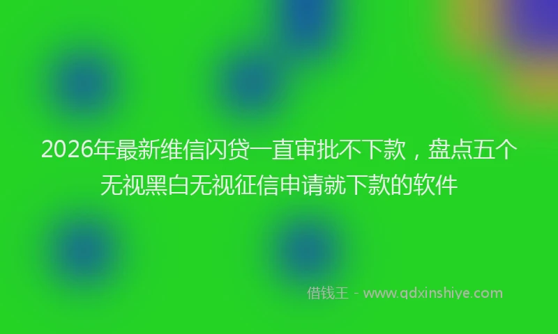 2026年最新维信闪贷一直审批不下款，盘点五个无视黑白无视征信申请就下款的软件