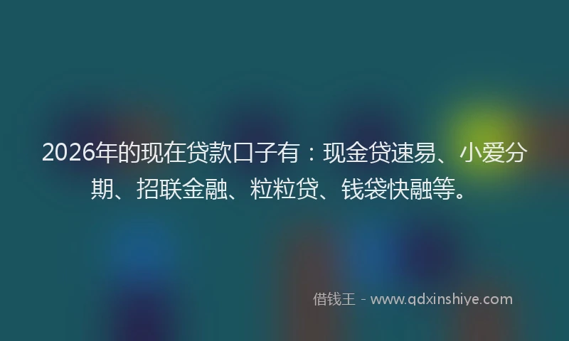 2026年的现在贷款口子有：现金贷速易、小爱分期、招联金融、粒粒贷、钱袋快融等。