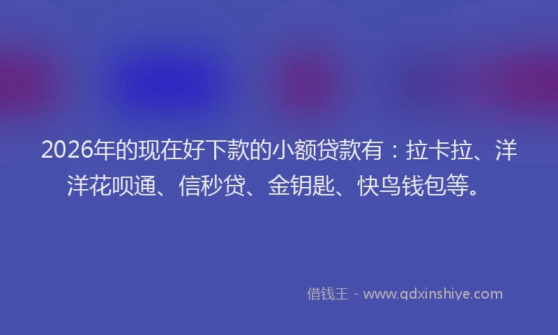 2026年的现在好下款的小额贷款有：拉卡拉、洋洋花呗通、信秒贷、金钥匙、快鸟钱包等。