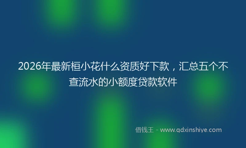 2026年最新桓小花什么资质好下款，汇总五个不查流水的小额度贷款软件