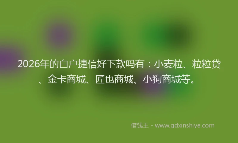 2026年的白户捷信好下款吗有：小麦粒、粒粒贷、金卡商城、匠也商城、小狗商城等。