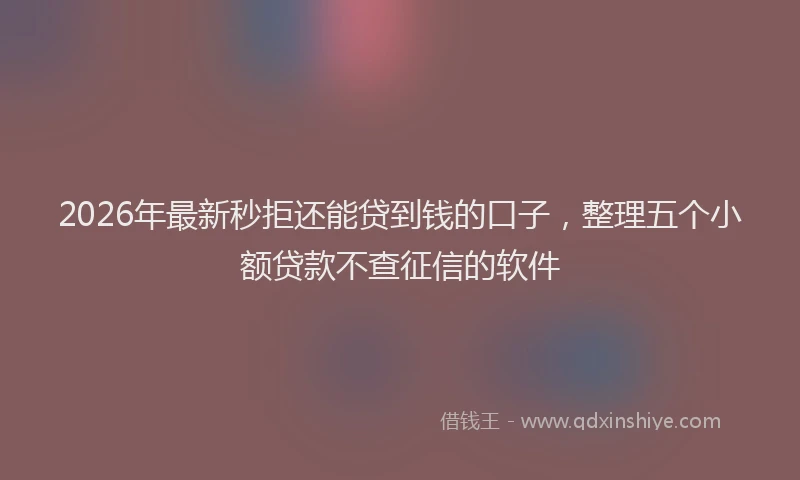 2026年最新秒拒还能贷到钱的口子，整理五个小额贷款不查征信的软件