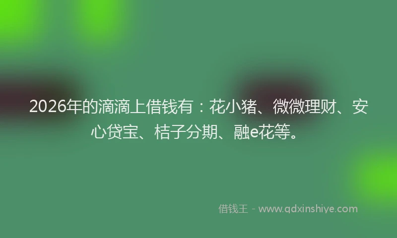 2026年的滴滴上借钱有：花小猪、微微理财、安心贷宝、桔子分期、融e花等。