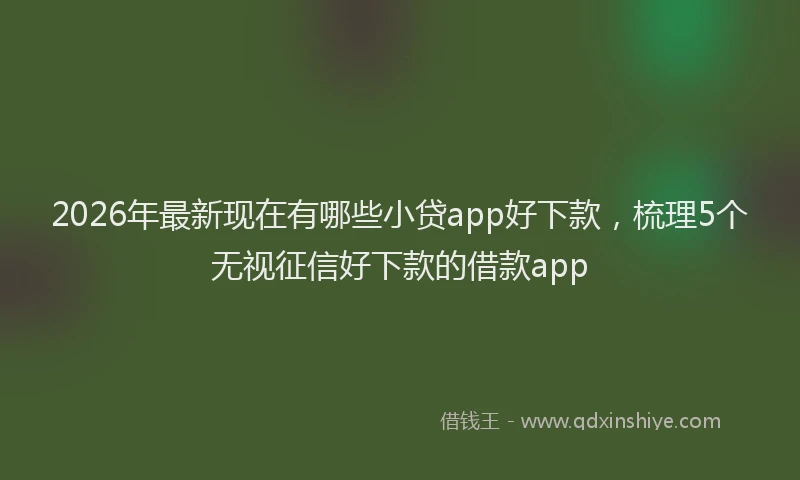 2026年最新现在有哪些小贷app好下款，梳理5个无视征信好下款的借款app