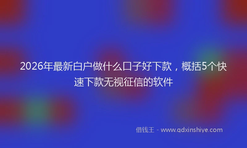 2026年最新白户做什么口子好下款，概括5个快速下款无视征信的软件
