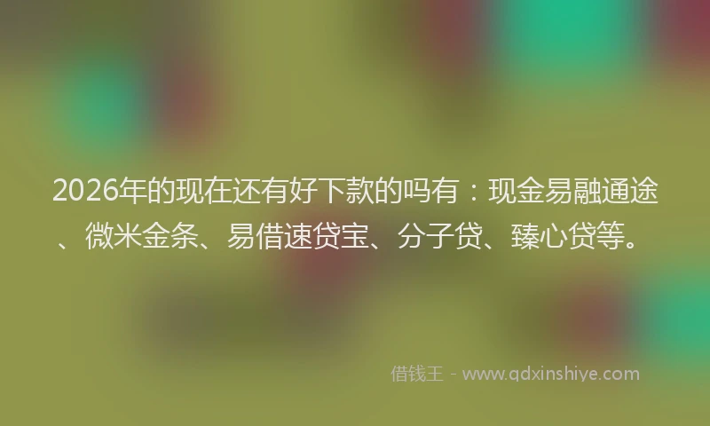 2026年的现在还有好下款的吗有：现金易融通途、微米金条、易借速贷宝、分子贷、臻心贷等。