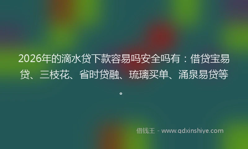 2026年的滴水贷下款容易吗安全吗有：借贷宝易贷、三枝花、省时贷融、琉璃买单、涌泉易贷等。