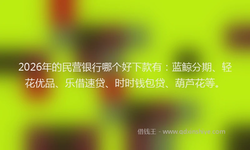 2026年的民营银行哪个好下款有：蓝鲸分期、轻花优品、乐借速贷、时时钱包贷、葫芦花等。