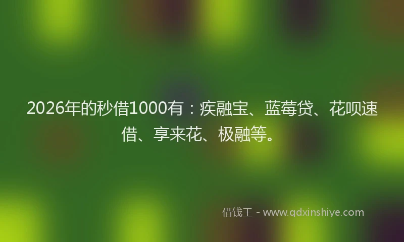 2026年的秒借1000有：疾融宝、蓝莓贷、花呗速借、享来花、极融等。