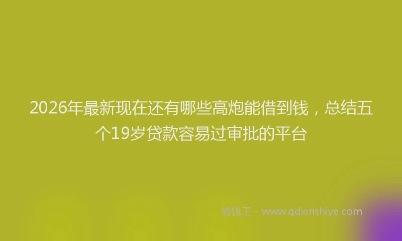 2026年最新现在还有哪些高炮能借到钱，总结五个19岁贷款容易过审批的平台
