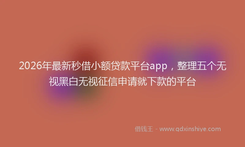 2026年最新秒借小额贷款平台app，整理五个无视黑白无视征信申请就下款的平台