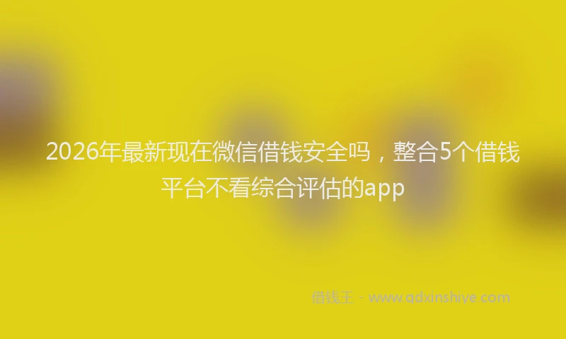 2026年最新现在微信借钱安全吗，整合5个借钱平台不看综合评估的app
