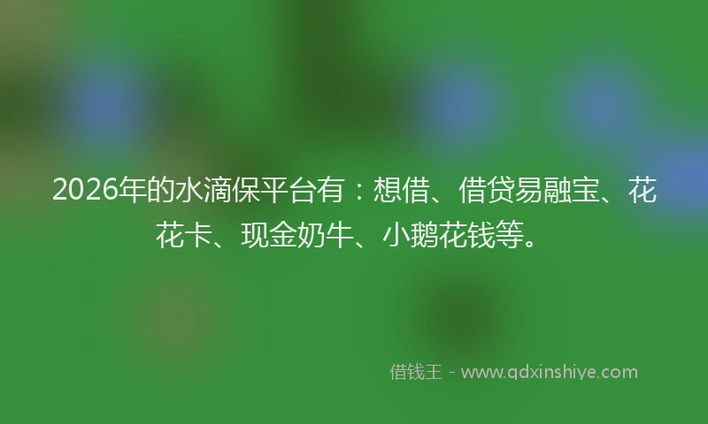 2026年的水滴保平台有：想借、借贷易融宝、花花卡、现金奶牛、小鹅花钱等。