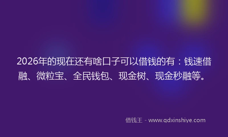2026年的现在还有啥口子可以借钱的有：钱速借融、微粒宝、全民钱包、现金树、现金秒融等。