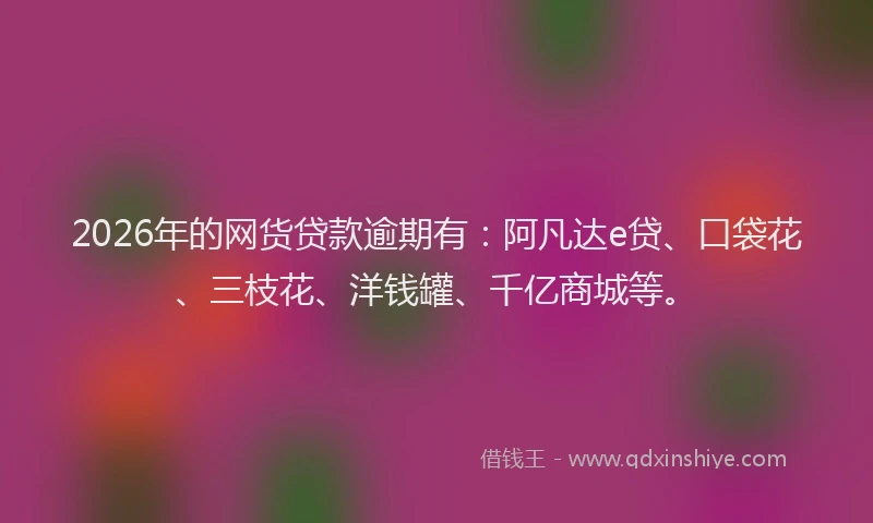 2026年的网货贷款逾期有：阿凡达e贷、口袋花、三枝花、洋钱罐、千亿商城等。