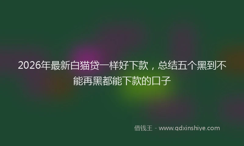 2026年最新白猫贷一样好下款，总结五个黑到不能再黑都能下款的口子