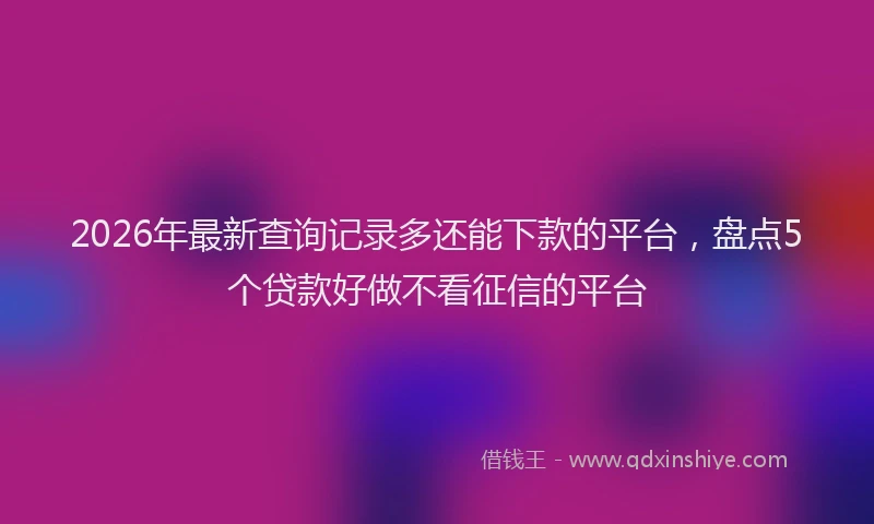 2026年最新查询记录多还能下款的平台，盘点5个贷款好做不看征信的平台