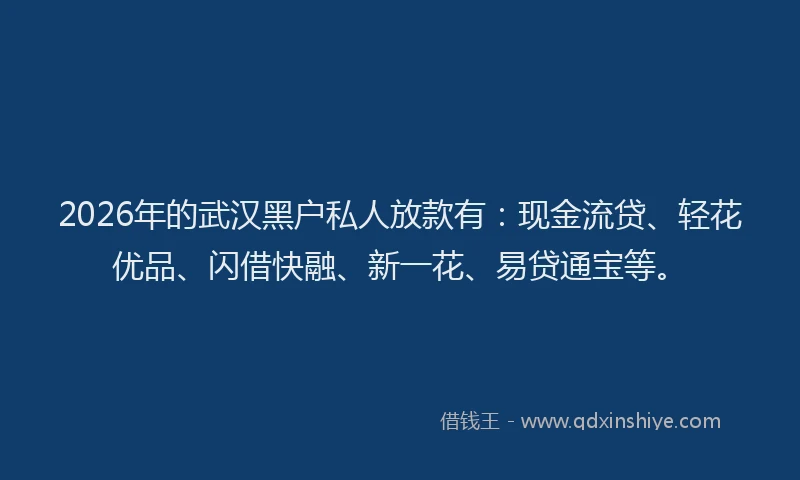 2026年的武汉黑户私人放款有：现金流贷、轻花优品、闪借快融、新一花、易贷通宝等。