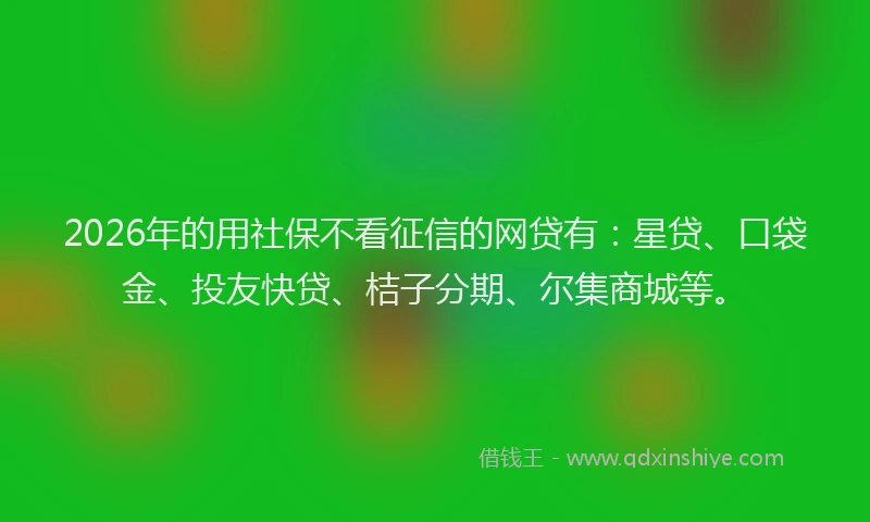 2026年的用社保不看征信的网贷有：星贷、口袋金、投友快贷、桔子分期、尔集商城等。