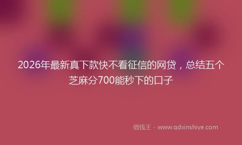2026年最新真下款快不看征信的网贷，总结五个芝麻分700能秒下的口子