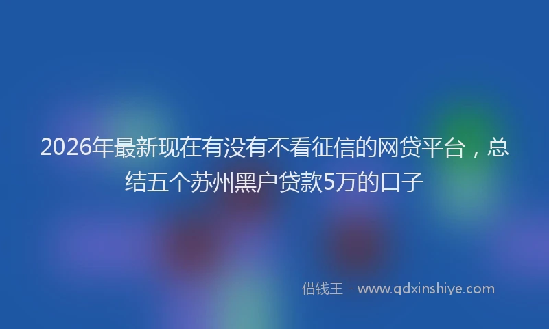 2026年最新现在有没有不看征信的网贷平台，总结五个苏州黑户贷款5万的口子
