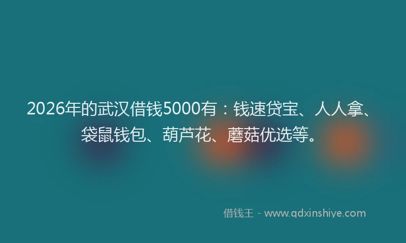 2026年的武汉借钱5000有：钱速贷宝、人人拿、袋鼠钱包、葫芦花、蘑菇优选等。