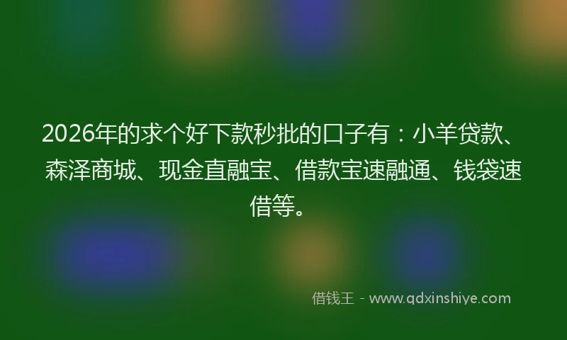 2026年的求个好下款秒批的口子有：小羊贷款、森泽商城、现金直融宝、借款宝速融通、钱袋速借等。