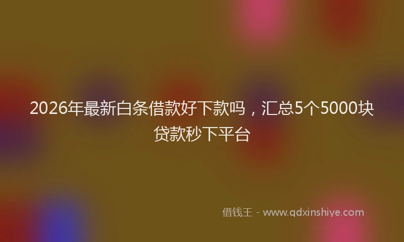 2026年最新白条借款好下款吗，汇总5个5000块贷款秒下平台