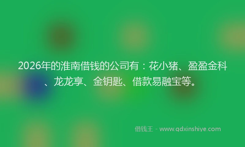 2026年的淮南借钱的公司有：花小猪、盈盈金科、龙龙享、金钥匙、借款易融宝等。
