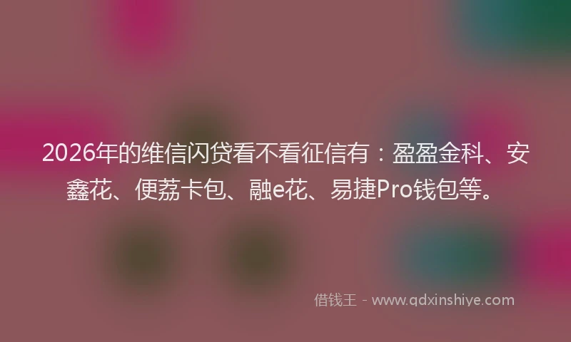 2026年的维信闪贷看不看征信有：盈盈金科、安鑫花、便荔卡包、融e花、易捷Pro钱包等。