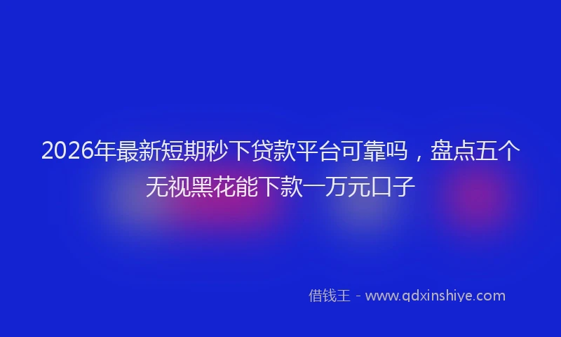 2026年最新短期秒下贷款平台可靠吗，盘点五个无视黑花能下款一万元口子